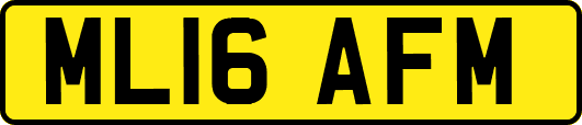 ML16AFM