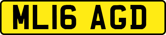 ML16AGD