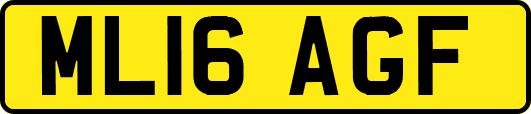 ML16AGF