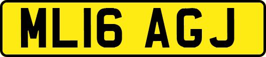 ML16AGJ