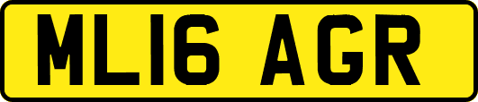 ML16AGR