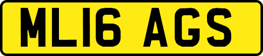 ML16AGS