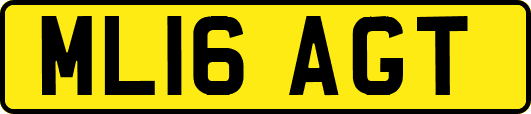 ML16AGT