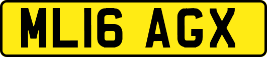 ML16AGX