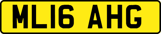 ML16AHG