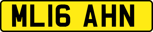 ML16AHN