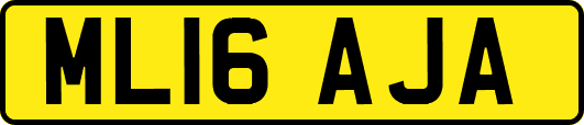 ML16AJA
