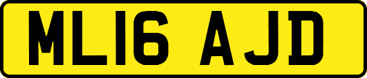 ML16AJD