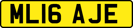 ML16AJE