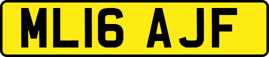 ML16AJF