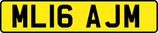 ML16AJM