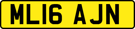 ML16AJN