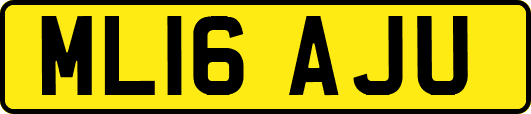 ML16AJU