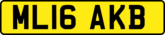 ML16AKB