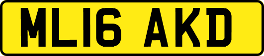 ML16AKD