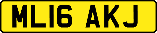 ML16AKJ