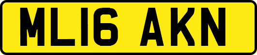 ML16AKN