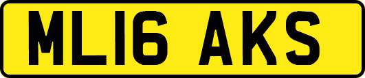 ML16AKS