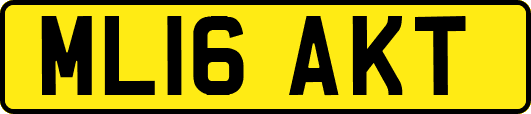ML16AKT