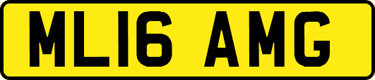 ML16AMG