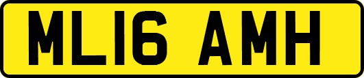 ML16AMH