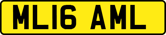 ML16AML