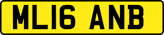ML16ANB