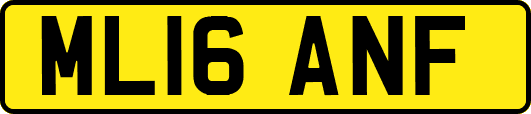 ML16ANF