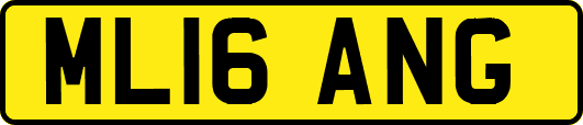 ML16ANG