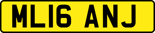ML16ANJ