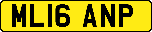 ML16ANP