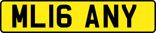 ML16ANY