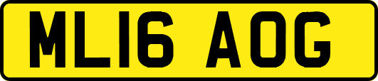 ML16AOG