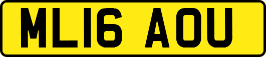 ML16AOU