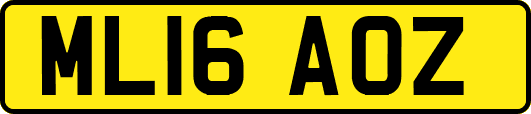 ML16AOZ