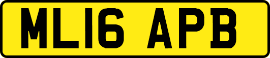 ML16APB
