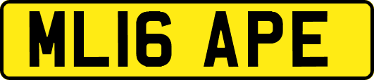 ML16APE