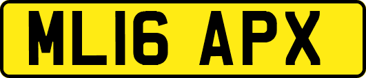 ML16APX