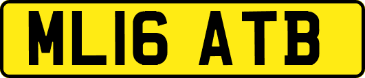 ML16ATB