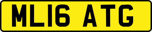 ML16ATG