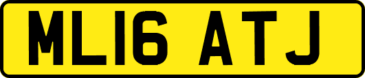ML16ATJ