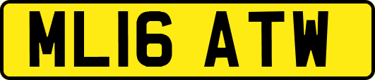 ML16ATW