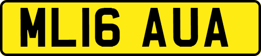 ML16AUA