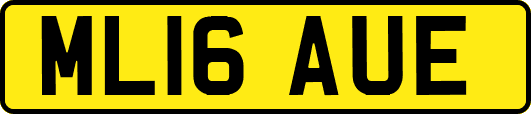 ML16AUE