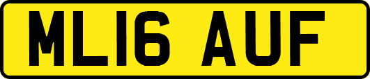 ML16AUF