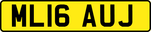 ML16AUJ