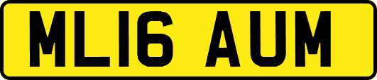 ML16AUM