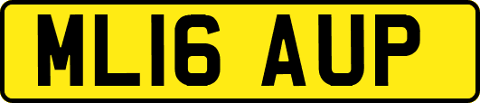 ML16AUP