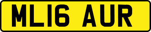 ML16AUR