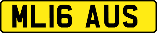 ML16AUS